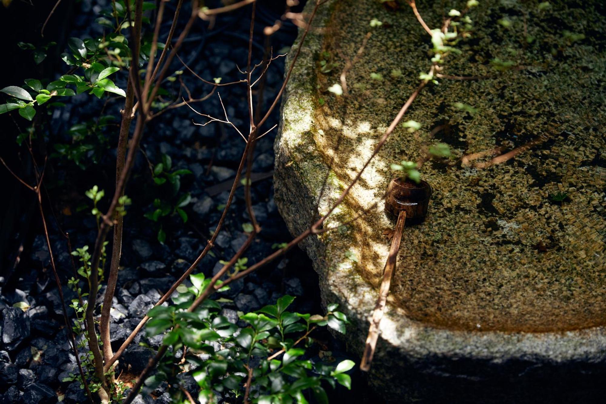 Yadoru Hanare Mizunoe No Yado Kyoto